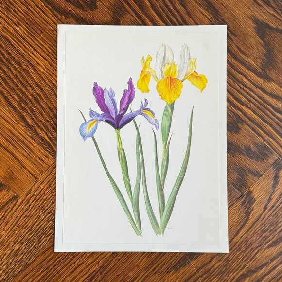 Vintage French Flower Prints Set 1 - Picture 2 of 5